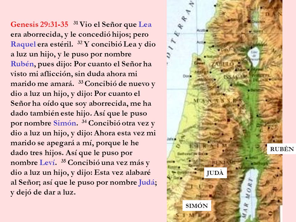 Genesis 29: Vio el Señor que Lea era aborrecida, y le concedió hijos; pero Raquel era estéril. 32 Y concibió Lea y dio a luz un hijo, y le puso por nombre Rubén, pues dijo: Por cuanto el Señor ha visto mi aflicción, sin duda ahora mi marido me amará. 33 Concibió de nuevo y dio a luz un hijo, y dijo: Por cuanto el Señor ha oído que soy aborrecida, me ha dado también este hijo. Así que le puso por nombre Simón. 34 Concibió otra vez y dio a luz un hijo, y dijo: Ahora esta vez mi marido se apegará a mí, porque le he dado tres hijos. Así que le puso por nombre Leví. 35 Concibió una vez más y dio a luz un hijo, y dijo: Esta vez alabaré al Señor; así que le puso por nombre Judá; y dejó de dar a luz.