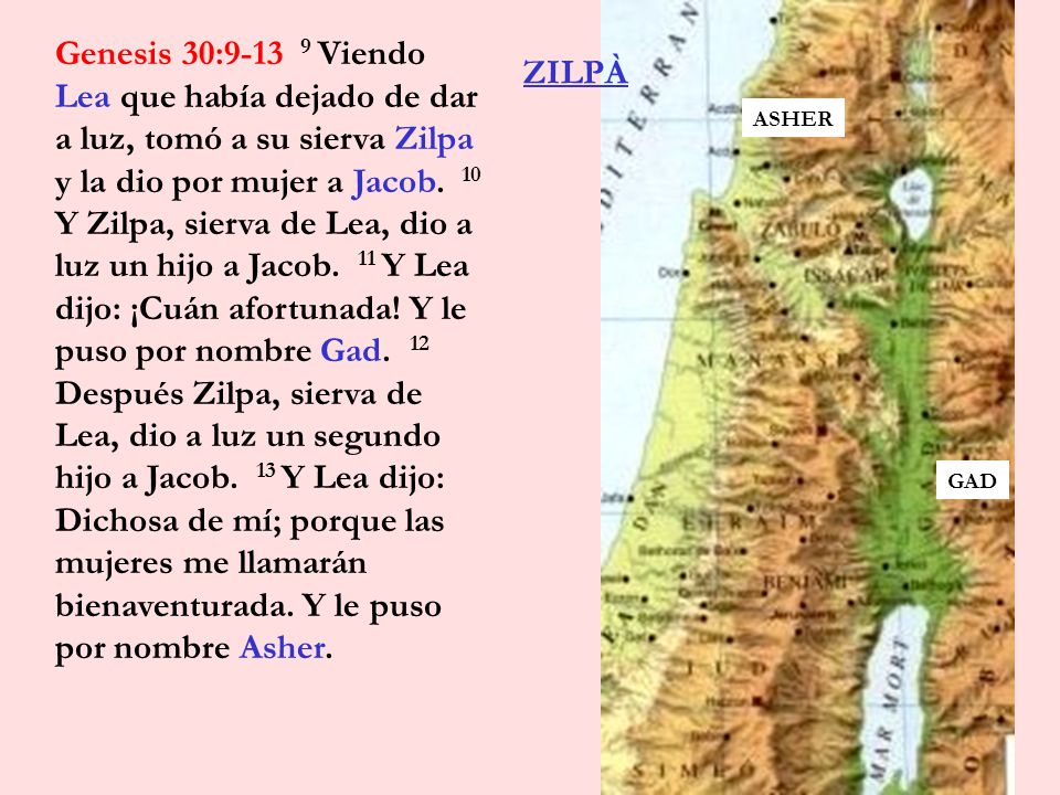 Genesis 30: Viendo Lea que había dejado de dar a luz, tomó a su sierva Zilpa y la dio por mujer a Jacob. 10 Y Zilpa, sierva de Lea, dio a luz un hijo a Jacob. 11 Y Lea dijo: ¡Cuán afortunada! Y le puso por nombre Gad. 12 Después Zilpa, sierva de Lea, dio a luz un segundo hijo a Jacob. 13 Y Lea dijo: Dichosa de mí; porque las mujeres me llamarán bienaventurada. Y le puso por nombre Asher.