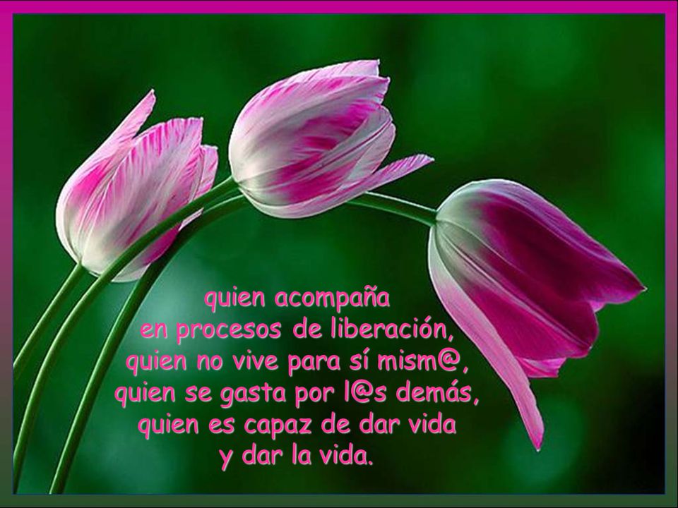 quien acompaña en procesos de liberación, quien no vive para sí quien se gasta por demás, quien es capaz de dar vida y dar la vida.