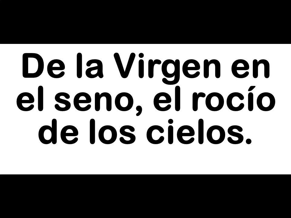 De la Virgen en el seno, el rocío de los cielos.