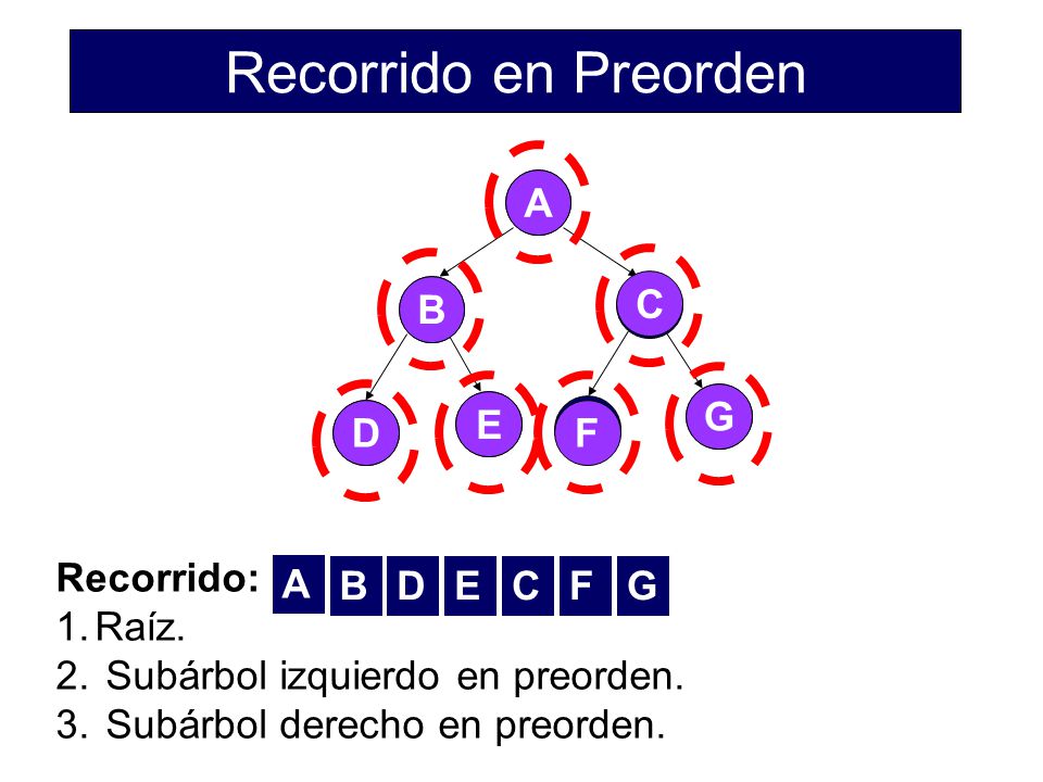 Recorrido en Preorden A A B B C C G G E E D D F F Recorrido: Raíz.