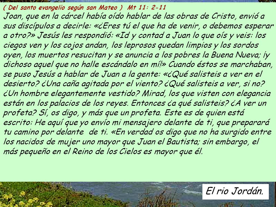 ( Del santo evangelio según san Mateo ) Mt 11: 2-11