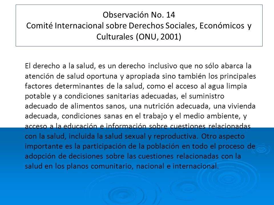 Observación No. 14 Comité Internacional sobre Derechos Sociales, Económicos y Culturales (ONU, 2001)