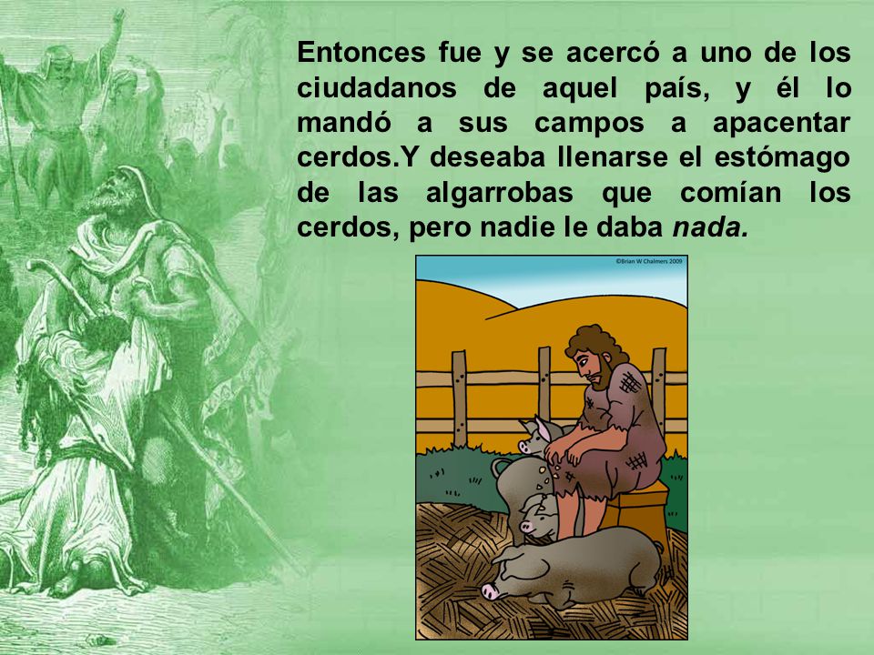 Entonces fue y se acercó a uno de los ciudadanos de aquel país, y él lo mandó a sus campos a apacentar cerdos.Y deseaba llenarse el estómago de las algarrobas que comían los cerdos, pero nadie le daba nada.
