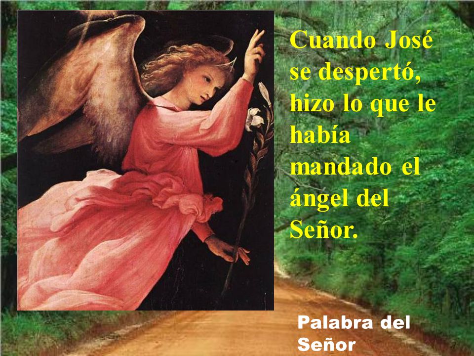 Cuando José se despertó, hizo lo que le había mandado el ángel del Señor.