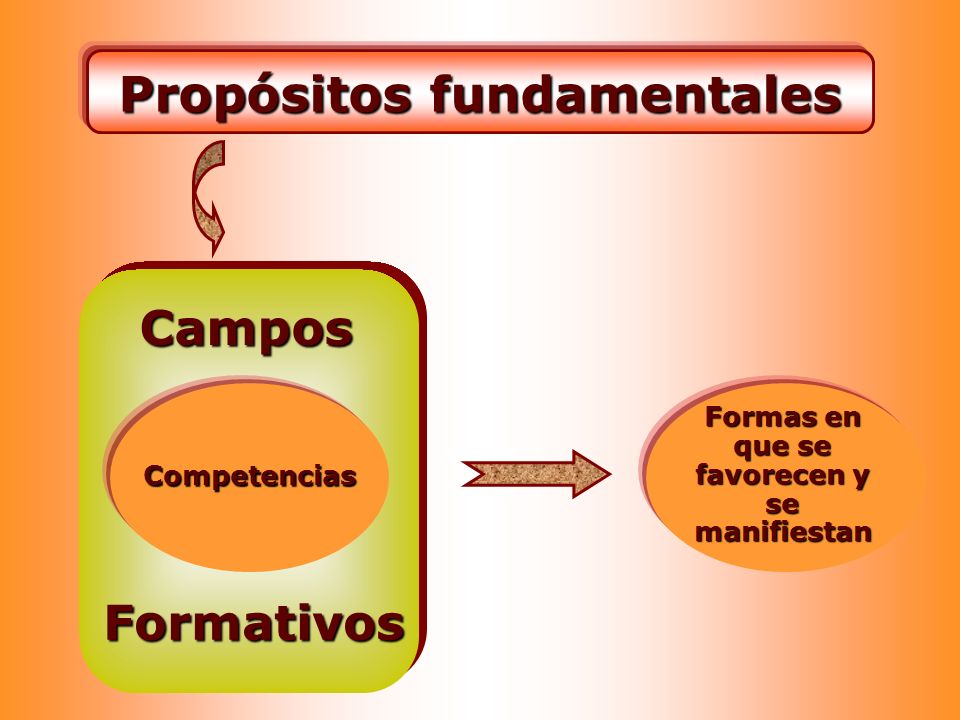 Propósitos fundamentales Formas en que se favorecen y se manifiestan