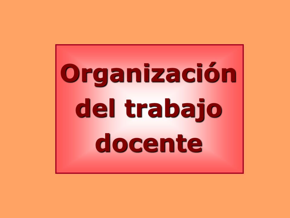 Organización del trabajo docente