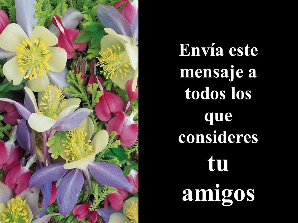 Envía este mensaje a todos los que consideres tu amigos
