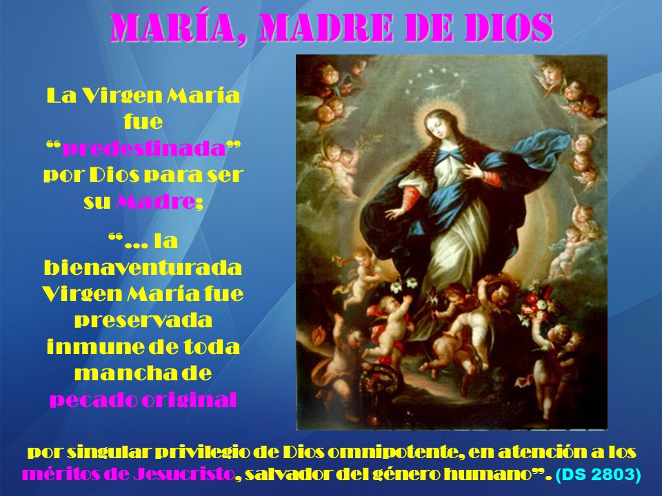 La Virgen María fue predestinada por Dios para ser su Madre;