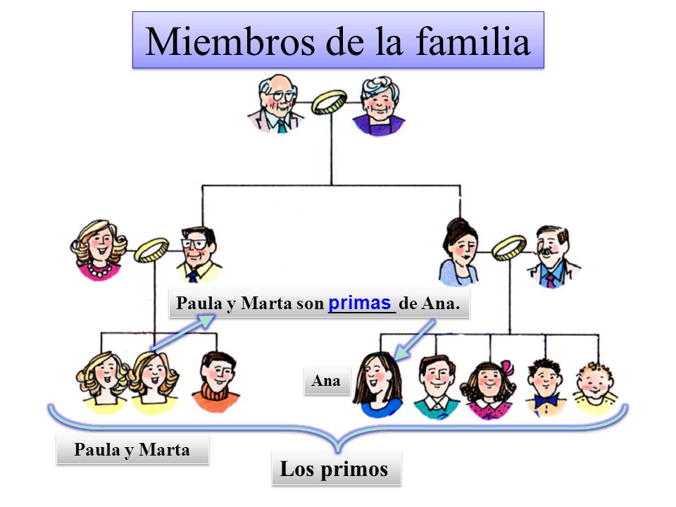 Miembros de la familia Los primos Paula y Marta son _______ de Ana.