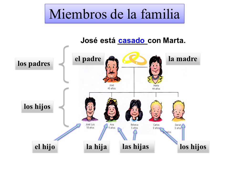 Miembros de la familia José está _______con Marta. casado el padre
