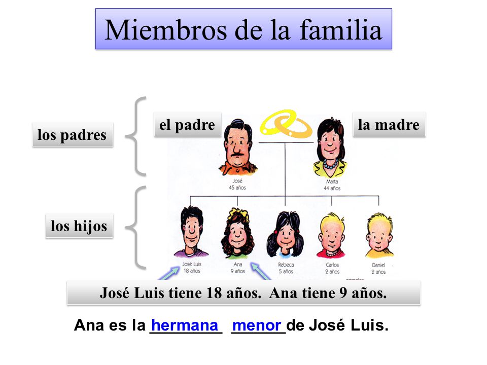 Miembros de la familia el padre la madre los padres los hijos