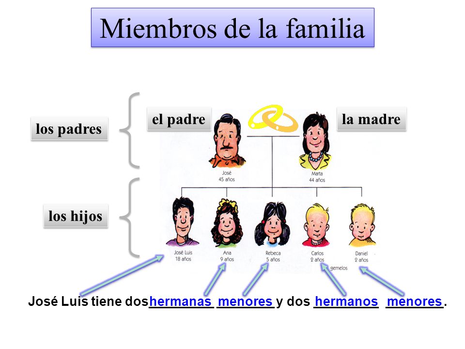 Miembros de la familia el padre la madre los padres los hijos