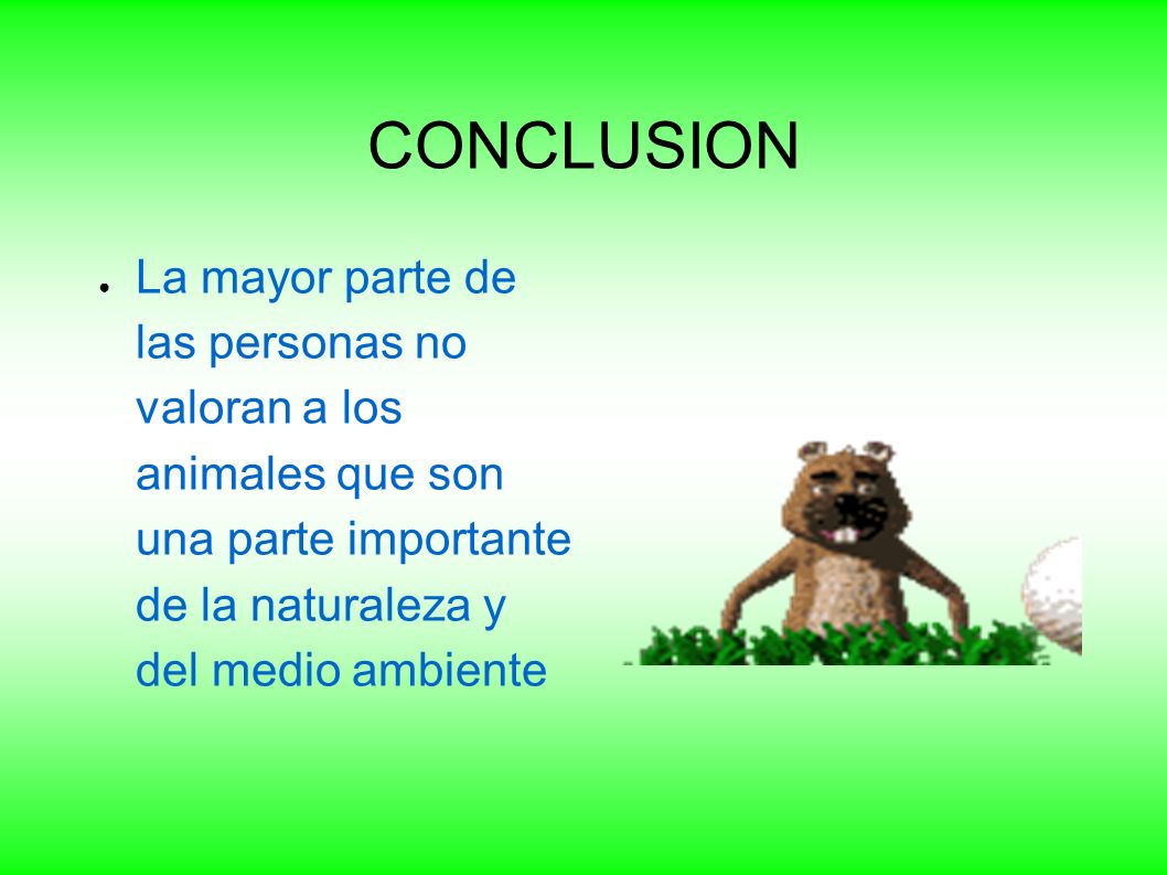 CONCLUSION La mayor parte de las personas no valoran a los animales que son una parte importante de la naturaleza y del medio ambiente.