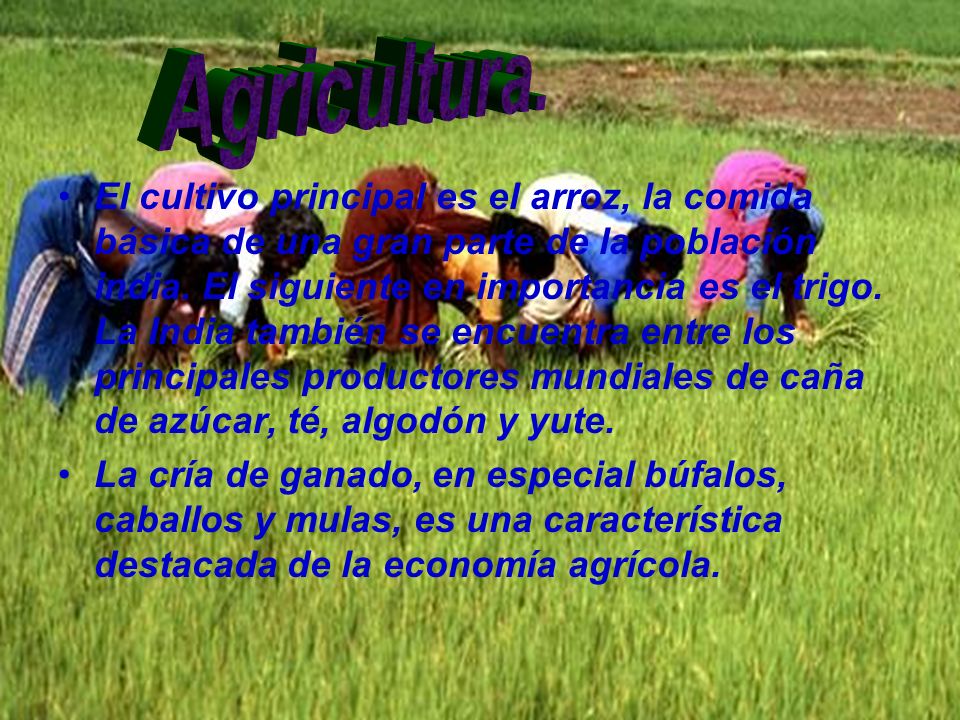 Agricultura.