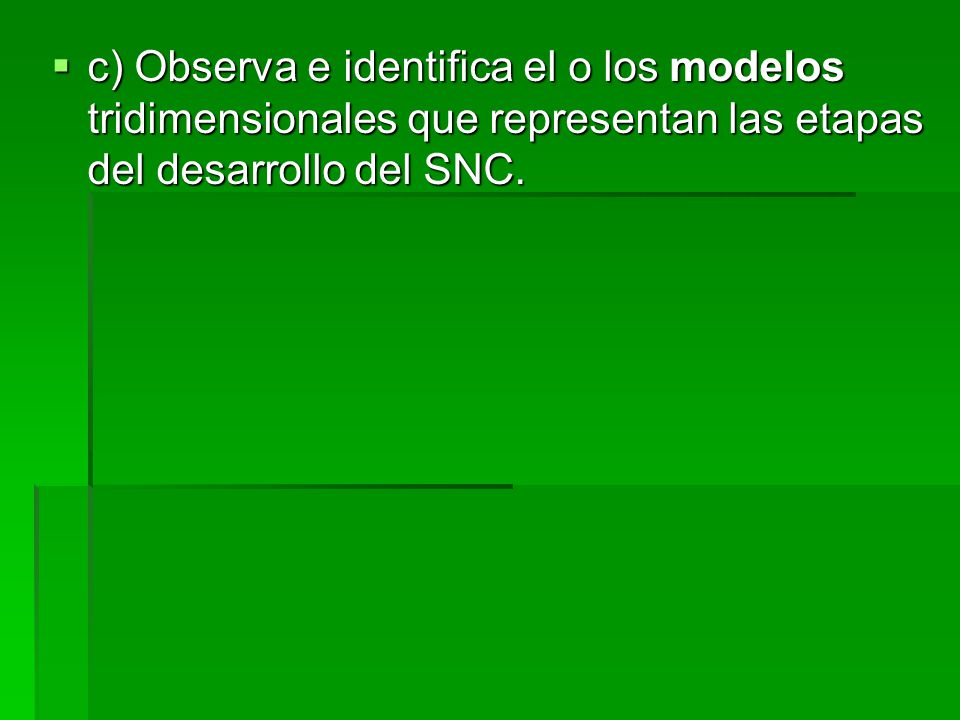 c) Observa e identifica el o los modelos tridimensionales que representan las etapas del desarrollo del SNC.