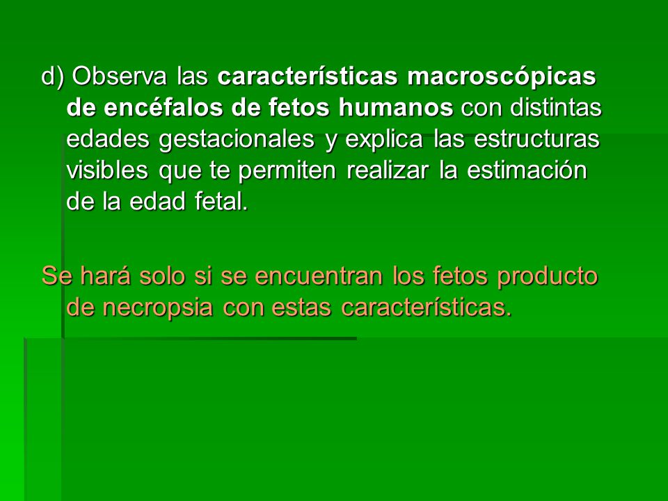 d) Observa las características macroscópicas de encéfalos de fetos humanos con distintas edades gestacionales y explica las estructuras visibles que te permiten realizar la estimación de la edad fetal.