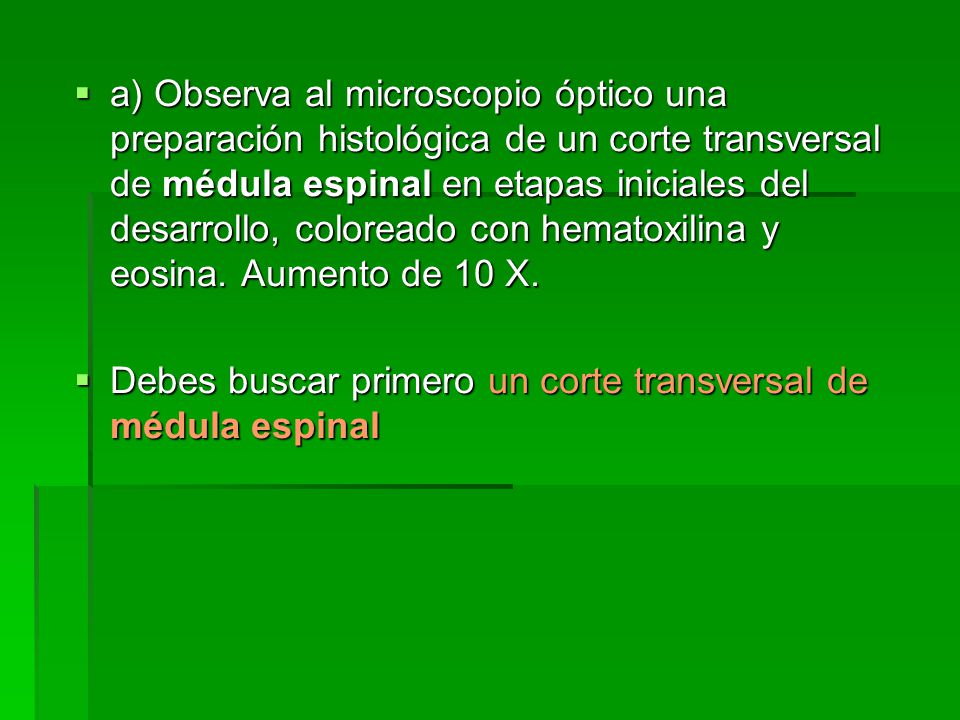 a) Observa al microscopio óptico una preparación histológica de un corte transversal de médula espinal en etapas iniciales del desarrollo, coloreado con hematoxilina y eosina. Aumento de 10 X.
