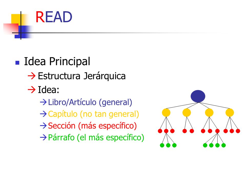 READ Idea Principal Estructura Jerárquica Idea: