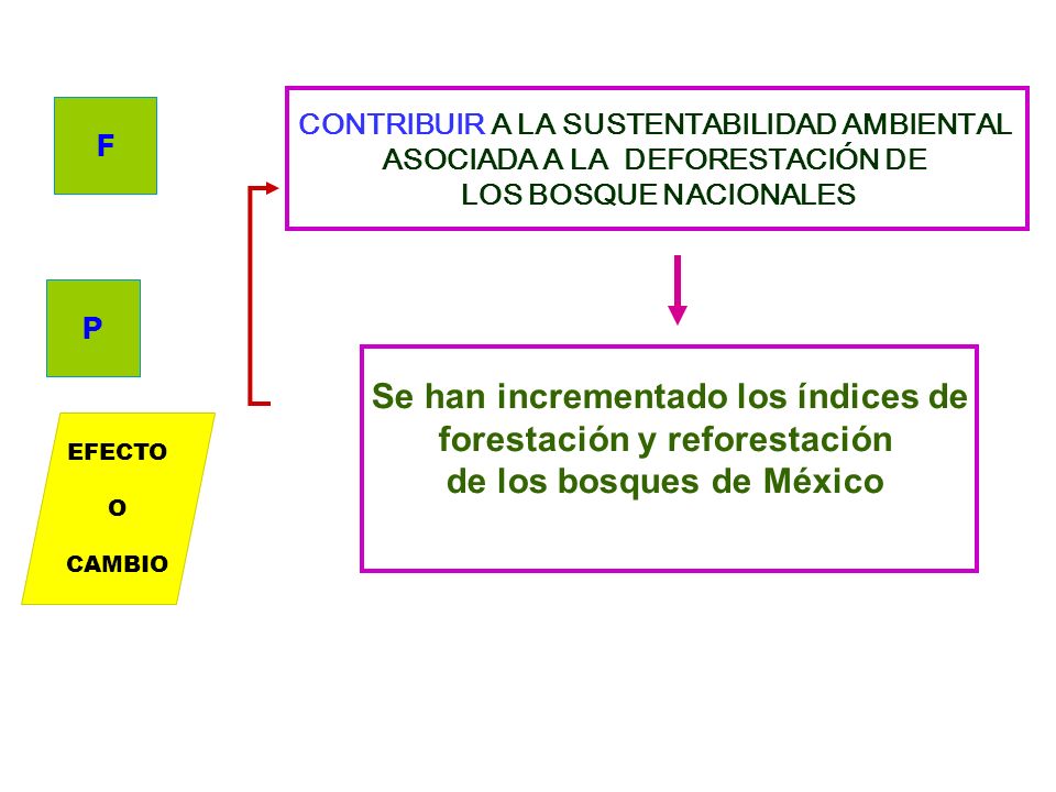 Se han incrementado los índices de forestación y reforestación
