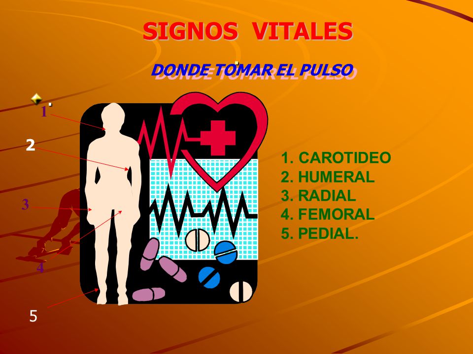 . SIGNOS VITALES . DONDE TOMAR EL PULSO CAROTIDEO 2. HUMERAL