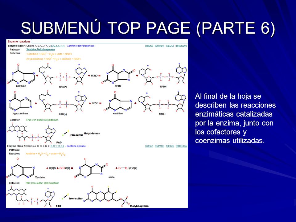 SUBMENÚ TOP PAGE (PARTE 6)