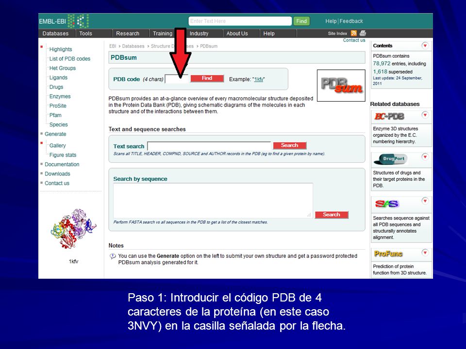 Paso 1: Introducir el código PDB de 4 caracteres de la proteína (en este caso 3NVY) en la casilla señalada por la flecha.