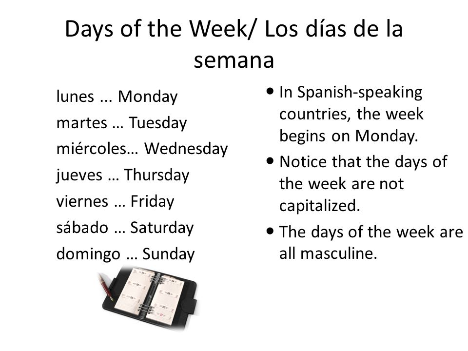 Days of the Week/ Los días de la semana