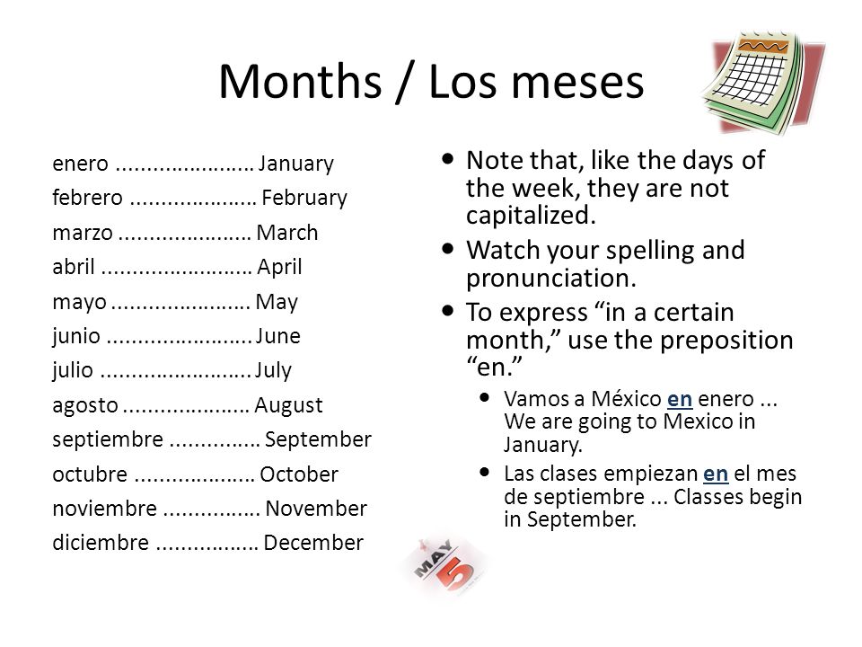 Months / Los meses