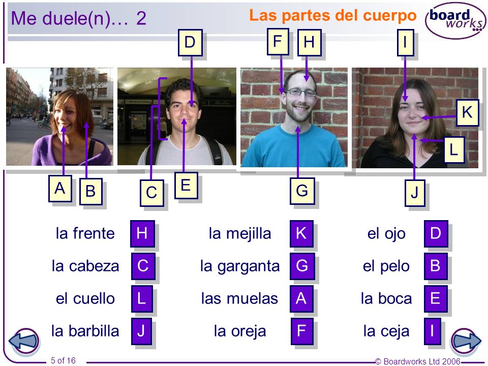 Me duele(n)… 2 Las partes del cuerpo D F H I K L E A B C G J la frente