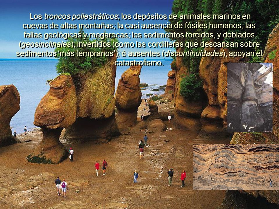 Los troncos poliestráticos; los depósitos de animales marinos en cuevas de altas montañas; la casi ausencia de fósiles humanos; las fallas geológicas y megarocas; los sedimentos torcidos, y doblados (geosinclinales), invertidos (como las cordilleras que descansan sobre sedimentos ‘más tempranos’), ó ausentes (discontinuidades), apoyan el catastrofismo.