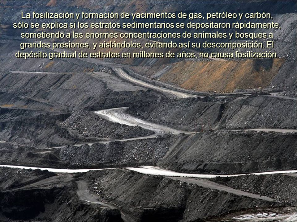 La fosilización y formación de yacimientos de gas, petróleo y carbón, sólo se explica si los estratos sedimentarios se depositaron rápidamente, sometiendo a las enormes concentraciones de animales y bosques a grandes presiones, y aislándolos, evitando así su descomposición.