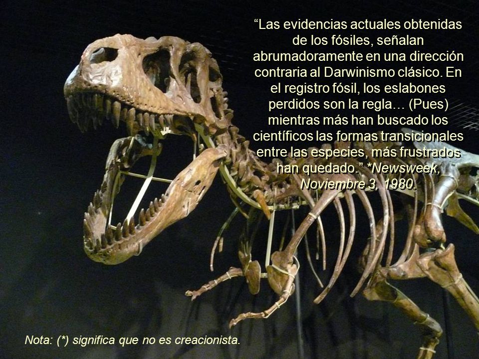 Las evidencias actuales obtenidas de los fósiles, señalan abrumadoramente en una dirección contraria al Darwinismo clásico. En el registro fósil, los eslabones perdidos son la regla… (Pues) mientras más han buscado los científicos las formas transicionales entre las especies, más frustrados han quedado. *Newsweek, Noviembre 3, 1980.
