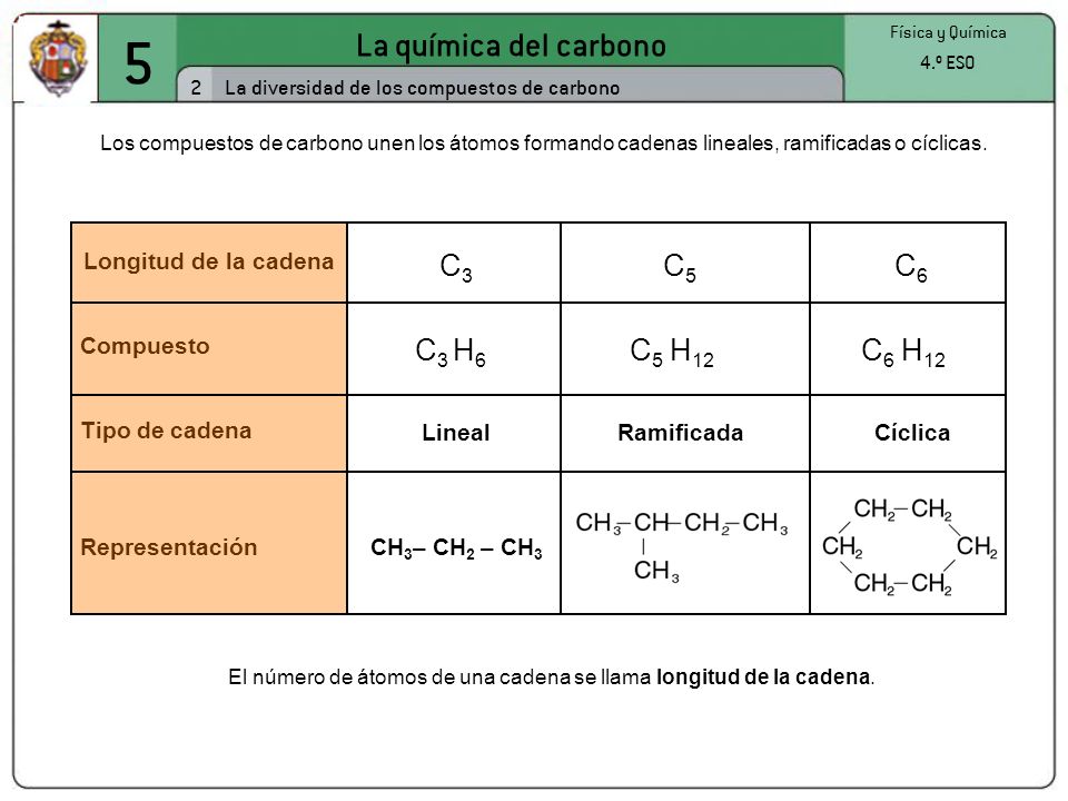 El número de átomos de una cadena se llama longitud de la cadena.