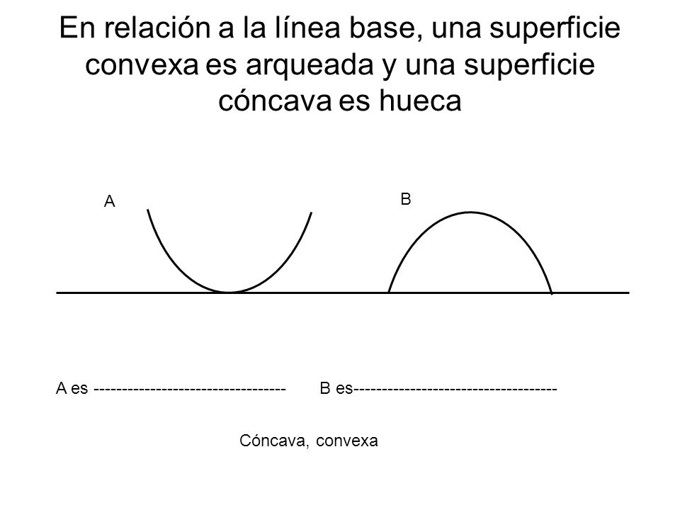 En relación a la línea base, una superficie convexa es arqueada y una superficie cóncava es hueca
