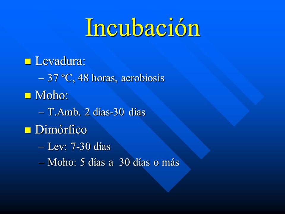Incubación Levadura: Moho: Dimórfico 37 ºC, 48 horas, aerobiosis