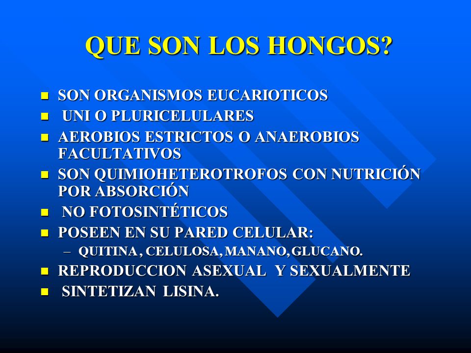QUE SON LOS HONGOS SON ORGANISMOS EUCARIOTICOS UNI O PLURICELULARES