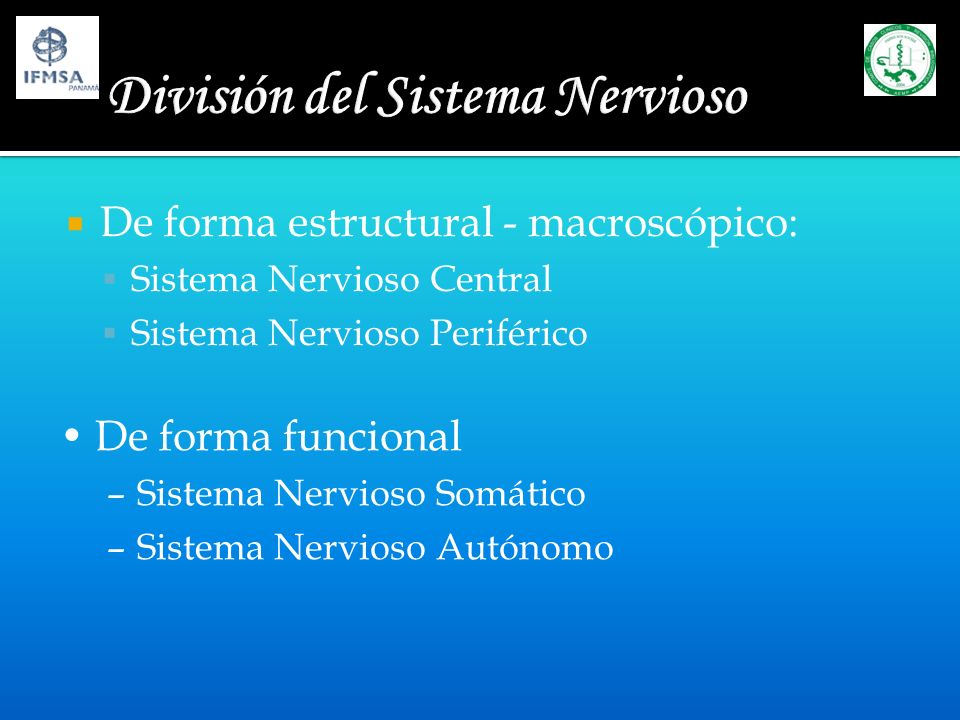 División del Sistema Nervioso