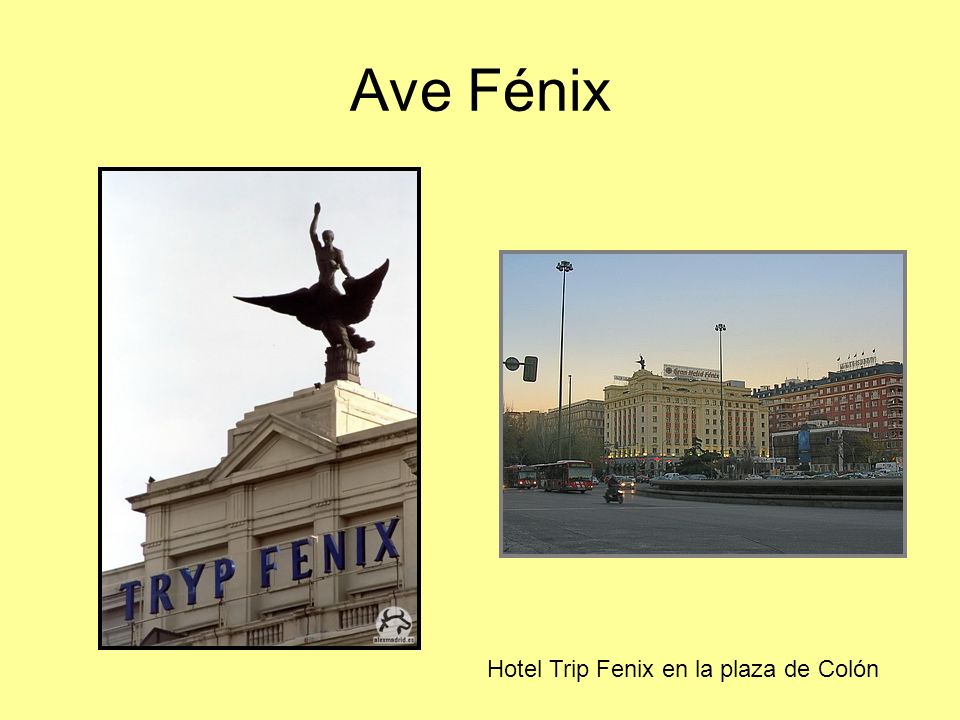 Ave Fénix Hotel Trip Fenix en la plaza de Colón