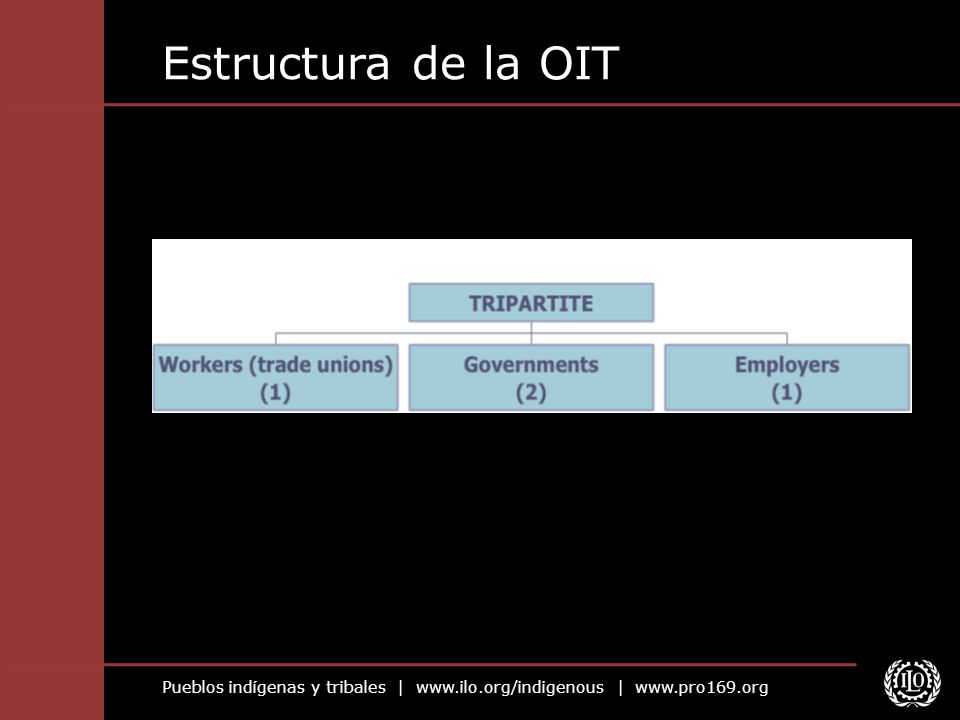 Estructura de la OIT
