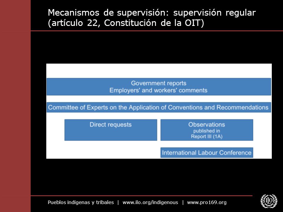 Mecanismos de supervisión: supervisión regular (artículo 22, Constitución de la OIT)