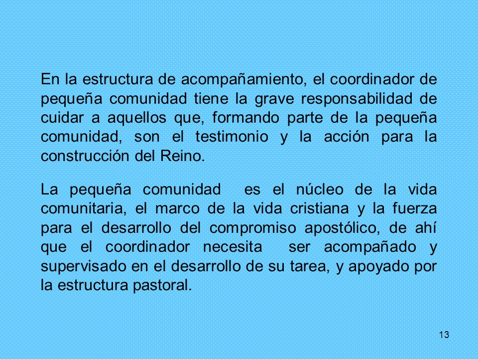 En la estructura de acompañamiento, el coordinador de pequeña comunidad tiene la grave responsabilidad de cuidar a aquellos que, formando parte de la pequeña comunidad, son el testimonio y la acción para la construcción del Reino.