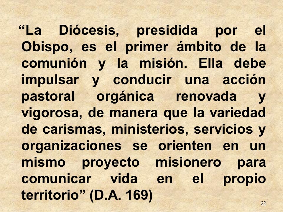 La Diócesis, presidida por el Obispo, es el primer ámbito de la comunión y la misión.