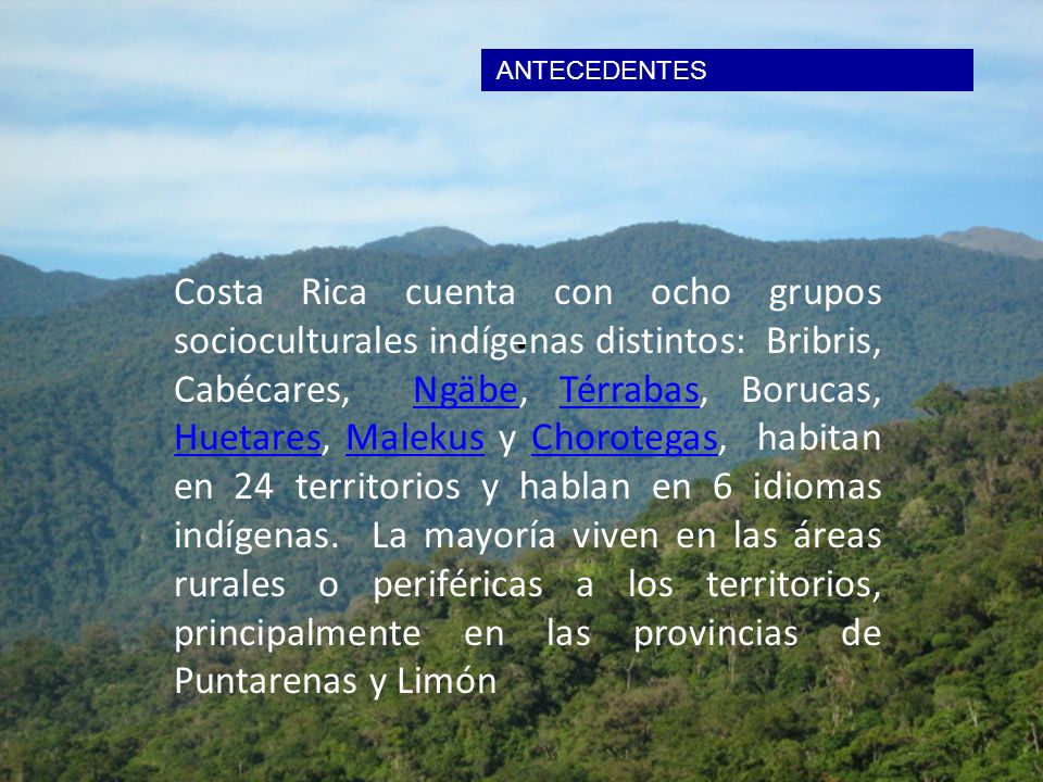 ANTECEDENTES .