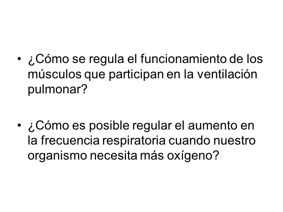 ¿Cómo se regula el funcionamiento de los músculos que participan en la ventilación pulmonar
