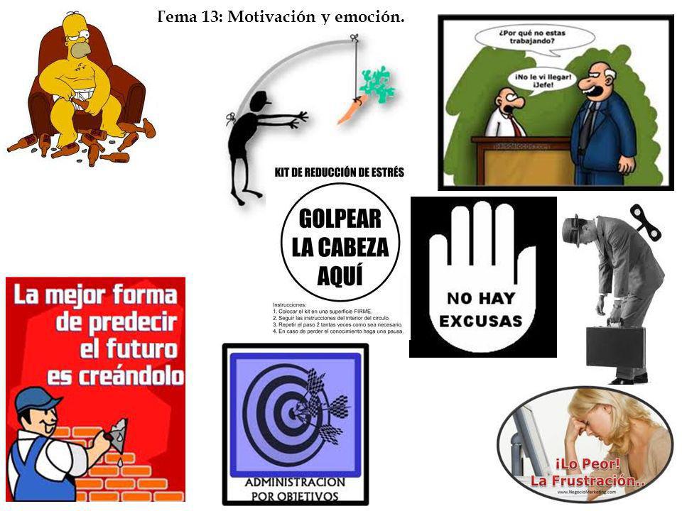 Tema 13: Motivación y emoción.