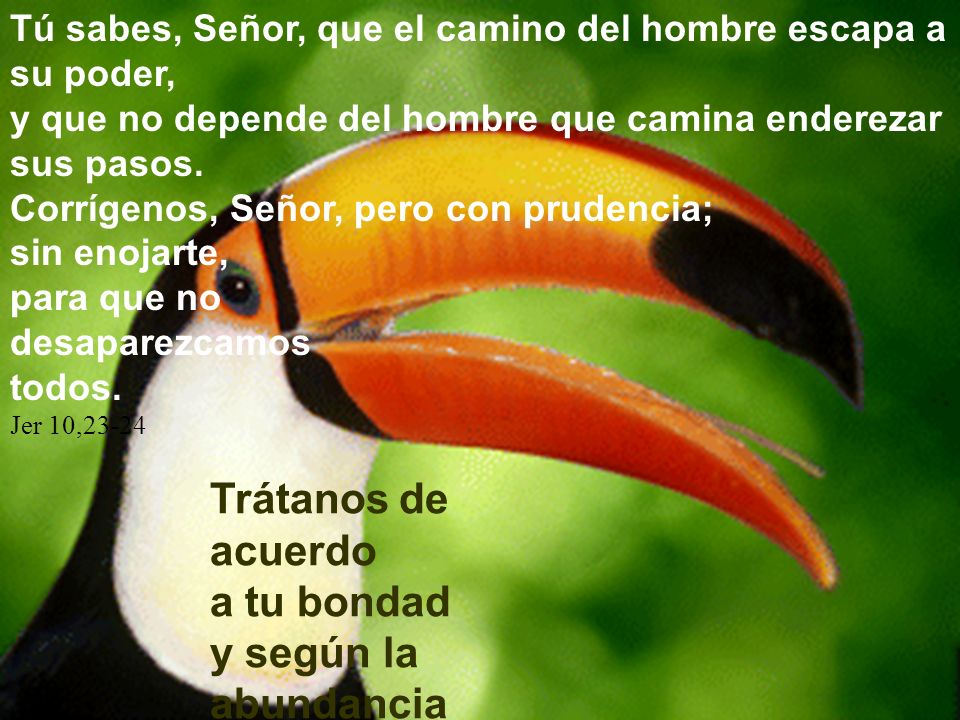 Trátanos de acuerdo a tu bondad y según la abundancia