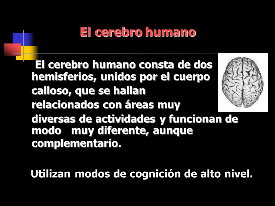 El cerebro humano consta de dos hemisferios, unidos por el cuerpo