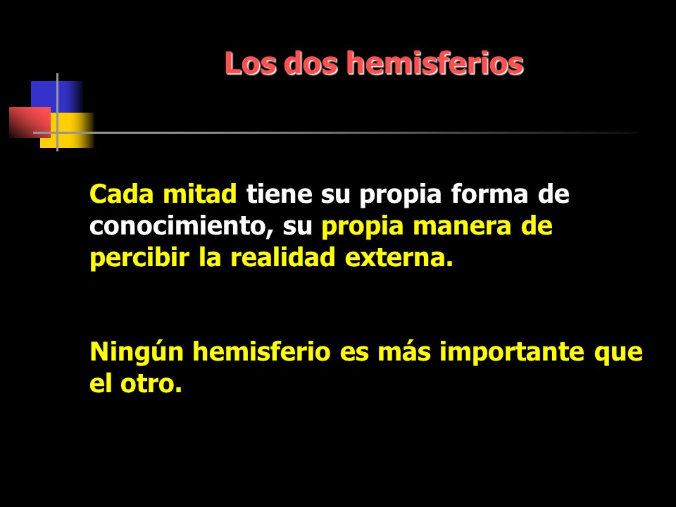 Los dos hemisferios Cada mitad tiene su propia forma de