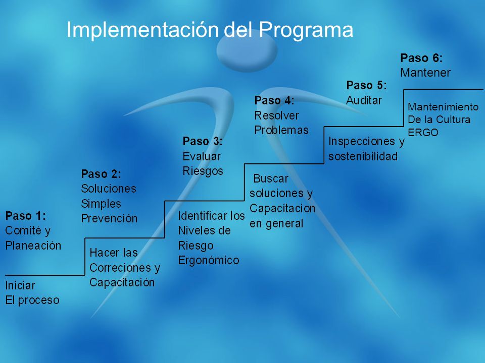 Implementación del Programa